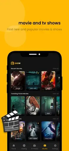 94fbr-cricify movie
